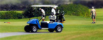 Golf Cart Insurance