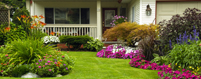 Arborists Contractors Insurance