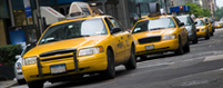 Insurance for Taxi Services