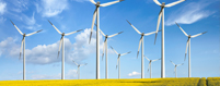 Renewable Energy Equipment