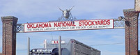 Livestock Auction Market