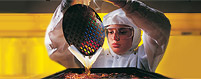 Electronics Companies