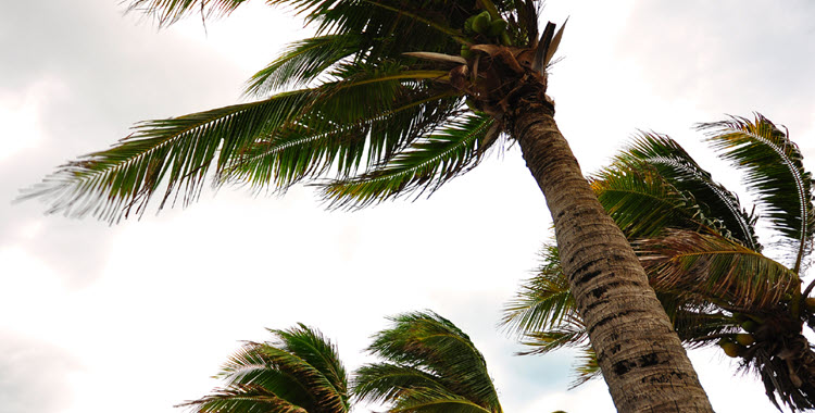 Three Tips to Help Prepare Construction Sites for Hurricanes