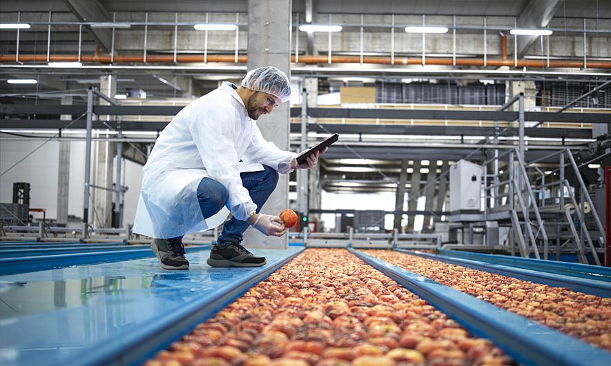 Wholesale & Distribution Insurance Insurance for Wholesale