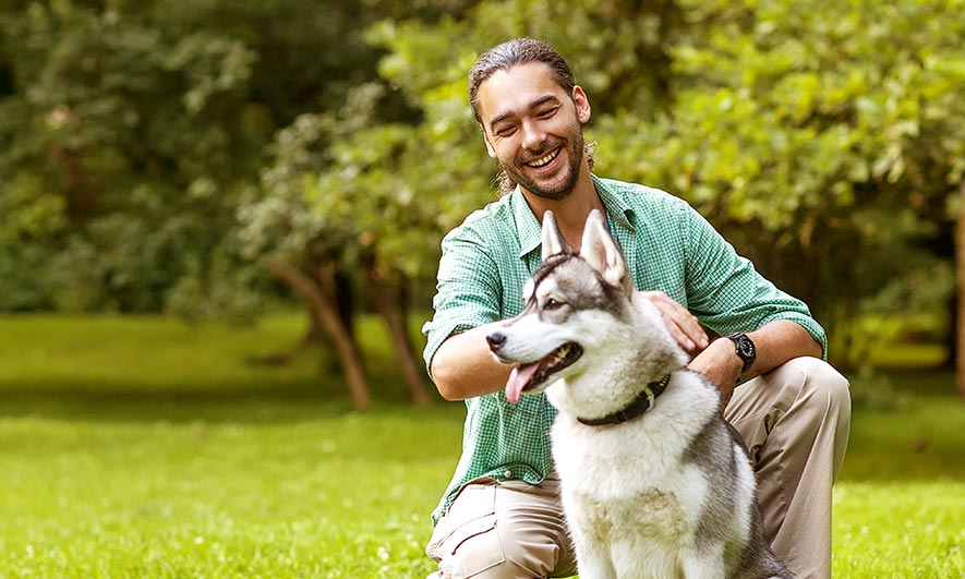 Pet Sitting Insurance | Petcare Insurance | The Hartford