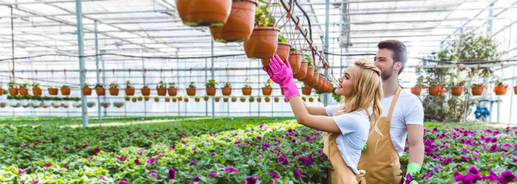 small business owners in a plant nursery